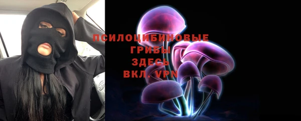 дурь Алексин