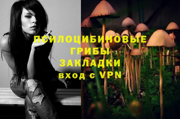 соль ск Алексеевка